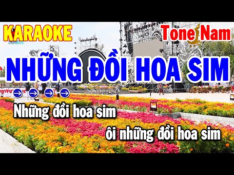 Karaoke Những Đồi Hoa Sim Tone Nam Nhạc Sống Dễ Hát Nhất 2024 | Thanh Hải