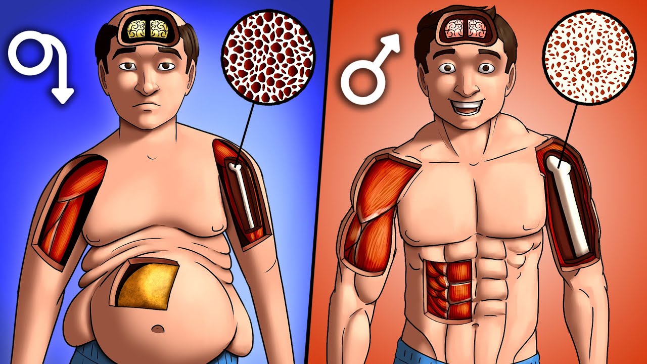 17 Ways to Boost Testosterone Naturally (Science-Based)