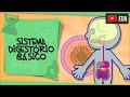 Funções e Processos do Sistema Digestório