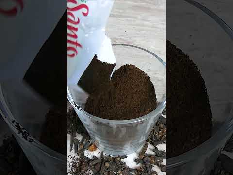 Echale cafe a la Vela y no veras + moscas o mosquitos en casa! #recetas #limpiar #repelente #shorts