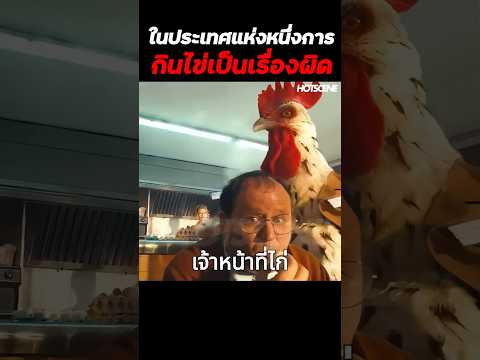 ในประเทศแห่งหนึ่งการกินไข่เป็นเรื่องผิด #shorts #สปอยหนัง #รีวิวหนัง #movie