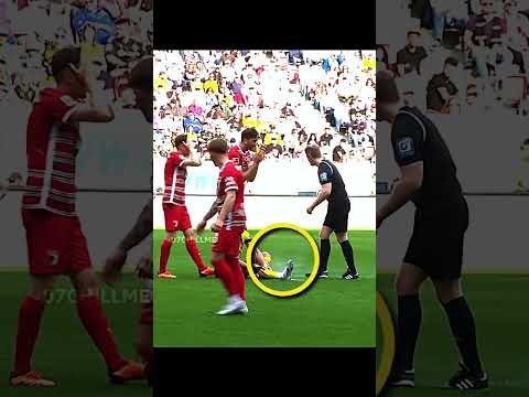 Referee vs Spray + THIS GUY ๐ณ