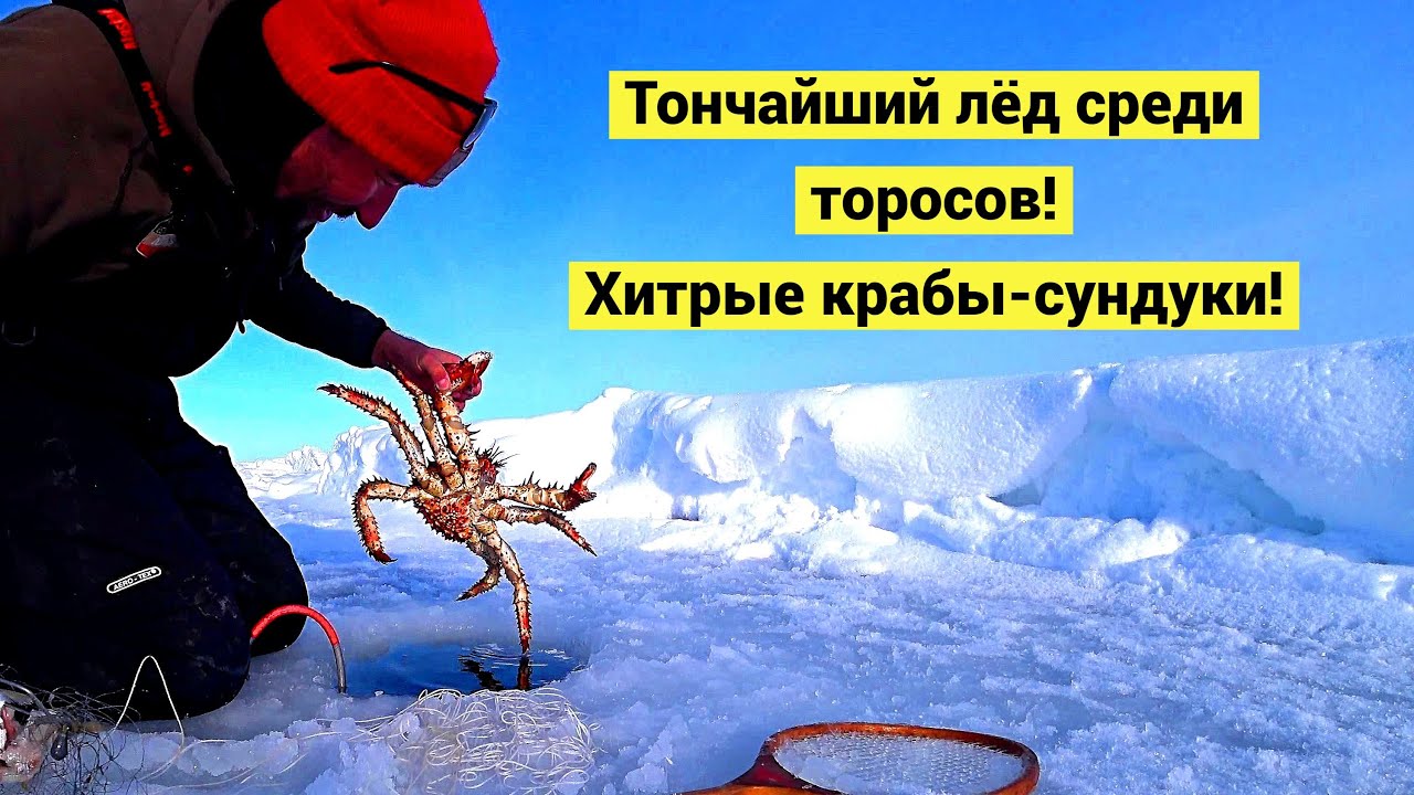 По локоть в прорубь за крабом!