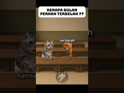 Ada Yang Tau Jawabannya? #meme #memekucing #kucing #kucinglucu #fypシ #viral