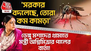 'সরকার বদলেছে, তোরা কম কামড়া' Dengue মশাদের থামাতে মন্ত্রী Agnimitra Paul র বার্তা!