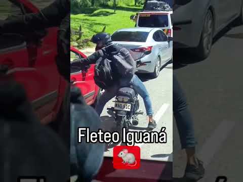 Ladron se llevó todo el botín. Y nadie hizo nada #viralpost2025シ #viralpost2024シ #viralpost2025