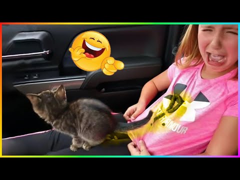 New Funny Dog And Cat 2023 😍🐶😻 Skibidi Toilet Cat and Dog 🤩Funniest Animals #273