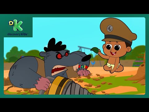 Baby Little Singham👶| Adventures of the Littlest Lion! 🦁| Best Cartoons😍| @DiscoveryKidsIN ​