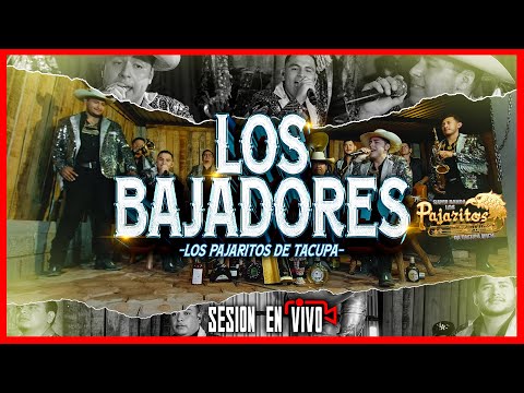 Los Bajadores - Los Pajaritos de Tacupa  (SESION EN VIVO 🔴)