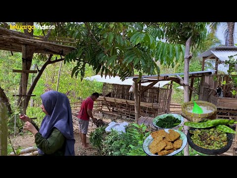 panen pokak, lanjut bikin sambel pokak teri, lalap Pete, kuluban daun pepaya, masakan desa