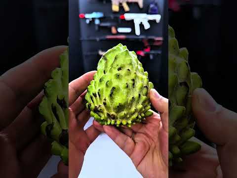 Which toy would you choose as a New Year's gift?#gelblaster #toyguns #airsoft #toys #animation