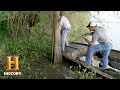 Alligator Capture Strategies and Goals