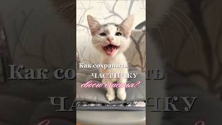 Тату на руке для девушки по фото кошки.Красивая, стильная татуировка от мастера  @kottattoostudio