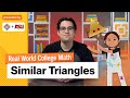 Triangles and Their Properties