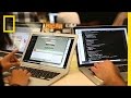 National Geographic Hackathon Insights