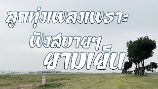 ลูกทุ่งเพลงเพราะ ฟังสบายๆ ยามเย็น