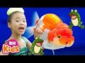 Đặc điểm và hành động của động vật