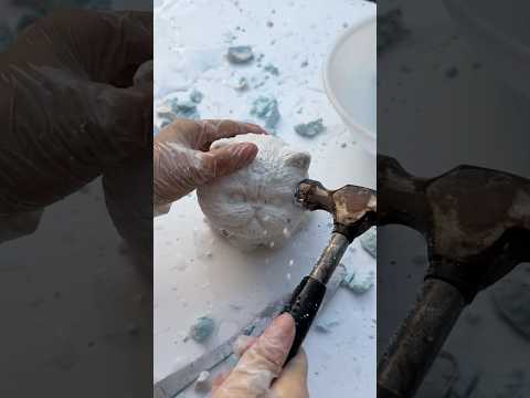 This is a magical little cat. #squishy #cat #cute #diy #handmade