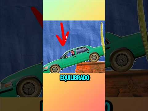 Un coche cae por culpa de un pájaro ¿es posible? 🚘😮
