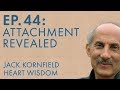 Understanding Life's Cycles and Mindfulness