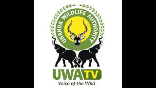 UWA TV