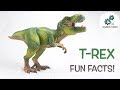 Discovering Fun Facts About T-Rex