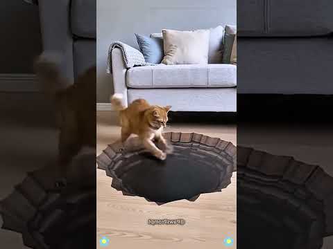 Cat and dog so funny video ๐#cat #funnycat #fyp#foryou #funny