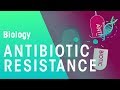 Understanding Antibiotic Resistance