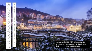 チェコ親善アンバサダーオンライントーク VOL 2『カルロヴィ・ヴァリのクリスマス』
