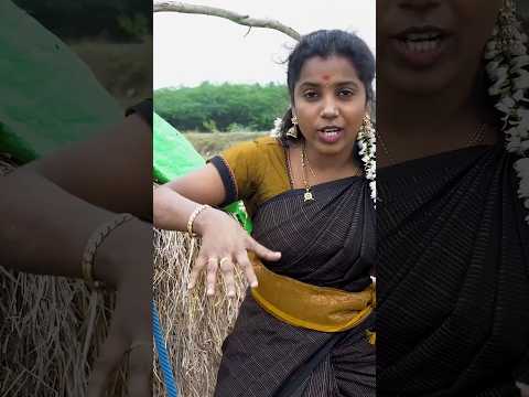 #paasakaran #kalam #jallikattu #folksong #trendingsong #song #supersingerabirami #2k26 #2026song