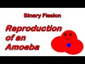 Understanding Key Concepts from the Video Tutorial