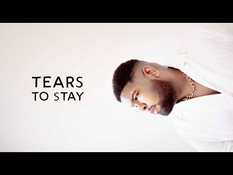 Ray Dalton - Tears to Stay (Official Visualizer)