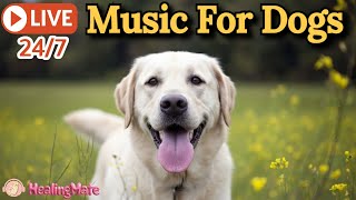 🔴Dog Music🎵🐶Calming Music for Dogs🐶💖Relaxing Music for Dog Sleep💖🦮Dog Stress Relief🎵🔴1