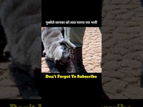 गुस्सैले जानवर को लात मारना परा भारी #shortvideo
