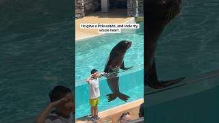 Adorable #seaworldorlando