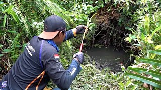 Pemancing yang sangat beruntung menemukan rawa banyak ikannya #SG-447