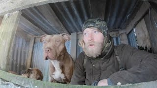 I moved out of a house and started living like this