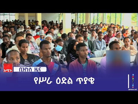 "መንግሥት አደራጅቶ ወደ ሥራ ሊያስገባን የገባልንን ቃል ተግባራዊ ሊያደርግልን ይገባል" ሥራ ፈላጊዎች