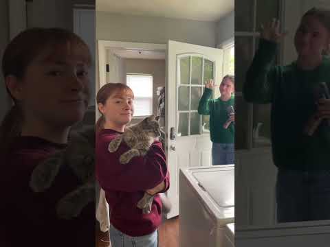 Take a look at M4 Properties!