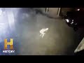 Mysterious Creature in Morehead, Kentucky