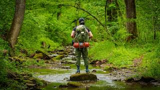 Backpacking in the Forests of Ohio