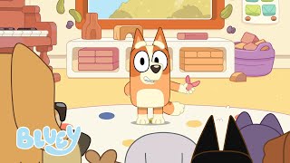 La pince de crabe de Bingo 🦀 | Montrer et raconter | Bluey Français Chaîne Officielle