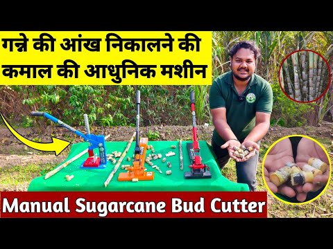 गन्ने से आंख निकालने की जबरदस्त मशीन Automatic sugarcane Bud cutter machine ||  || Sugarcane cutter