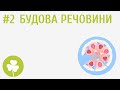 Основи хімії: атоми, молекули та речовини