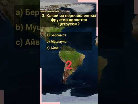 Викторина про фрукты и овощи. Часть 2 #угадай #знания #фрукты #овощи #цитрусы #ягоды #кулинария
