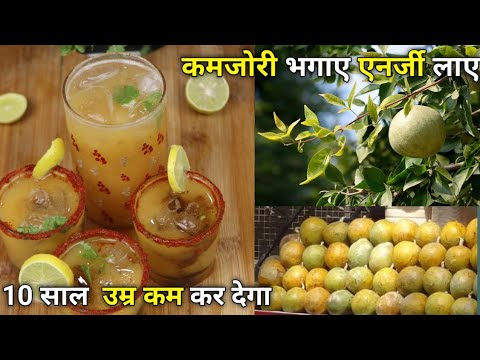 बुढ़ापे को करना हो दूर तो इसे बनाना जरूर,बूढ़ा न होने की दवाई-सबसे ताकतवर शरबत, summer drink recipe