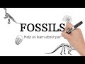 Fossils and Their Significance