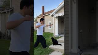 Wong Fei Hong Actual and Cat Nonetheless- By Scarlett Johansson and baby KI ki #thejinxslove