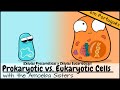Comparing Prokaryotic and Eukaryotic Cells