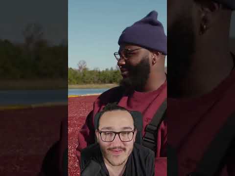 Le PIRE métier du monde